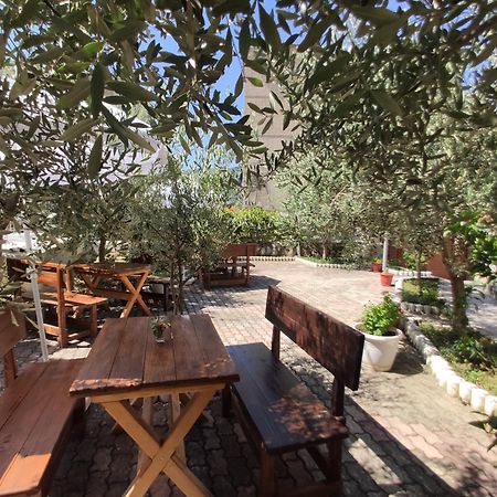 Elvish Garden Boutique B&B Berat Exterior photo