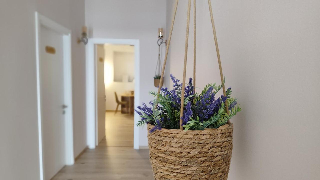 Elvish Garden Boutique B&B Berat Exterior photo