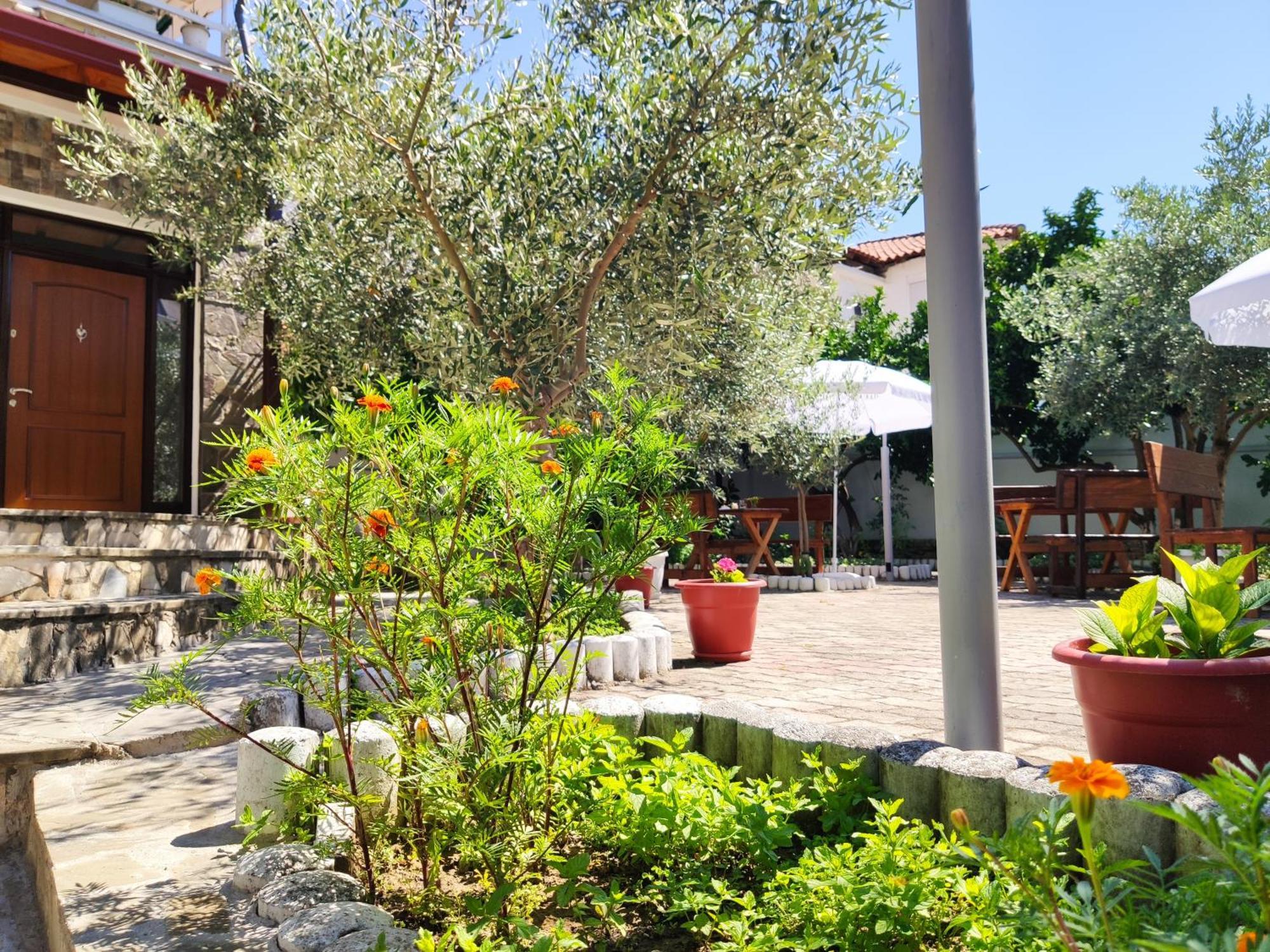 Elvish Garden Boutique B&B Berat Exterior photo